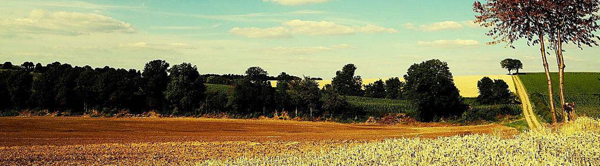 2003年8月8日獲得世界吉尼斯香港總部授予的《世界記錄證書》